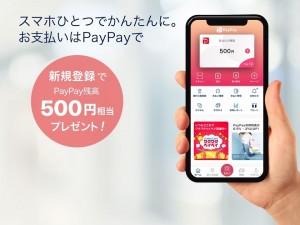 paypay1