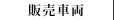 ξ